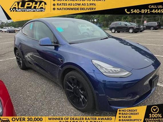 TESLA MODEL Y 2021 5YJYGDEE3MF265481 image